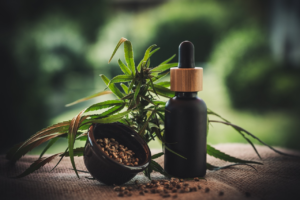 A Spotlight on Local CBD Retailers and Cafes