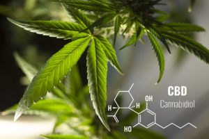 CBD and Social Justice: Supporting Ethical Brands